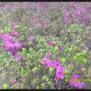 석교초등학교 이미지