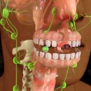 컴플란트치과의원 이미지