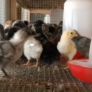 청계유통 이미지