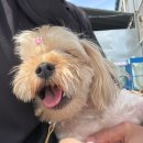 (주)몸부림 | [부산동물보호센터] 유기견봉사후기 2026.4 ③