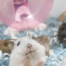 아칸 PC방 이미지