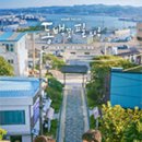 동백꽃필무렵 - 서귀포시 | 동백꽃필무렵