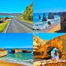 철없는바다 | 멜버른 그레이트오션로드 버스 투어 내돈내산 강추!! 땡스투어 후기