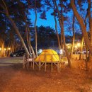 솔바다캠핑장 이미지