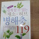 [쉽게 알수 있는 채소허브 병해충 119.책] 이미지