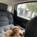 살롱드몽몽 이미지