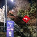 [민락동 MBC] 국내 유일의 마술전용극장에서 월드클래스매지션을 관람하다 ~ mbc 삼주아트홀 이미지