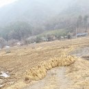 외갓집 | 아이와 양평 외갓집체험마을 다녀온 후기 | 서울근교 아이 농촌체험 추천