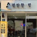 편안한댕 이미지