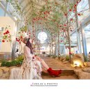 플레인(PLAIN) 이미지