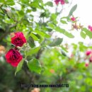 성수역 2번출구 이미지