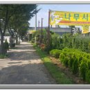 환타스틱 스토어