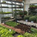 자양꽃직매장 이미지