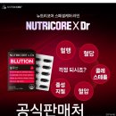 블루션 이미지
