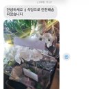 제이미플레르