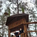 장항공원 화장실 이미지