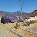 금천계곡 야영장 이미지