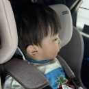 23개월 아기 머리 자르기, 바가지머리 탈출 여름맞이 짧은 머리 후기