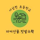 어상천초등학교, 어상천초교(병설유치원) 이미지
