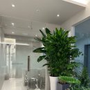 패러다임피부과의원 이미지