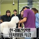 성지애견 이미지