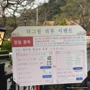 서울근교 양평 식물원 더 그림 내돈내산 솔직후기