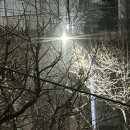 NR-3[동내로]-하-1 | 똥멍청이의 부활과 생일, 만두빚기- 12월 2탄