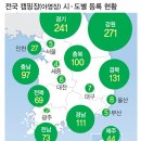 [S 스토리] 너도나도 캠핑장 조성.. 돈벌이 급급 안전은 뒷전 이미지