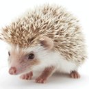 곤충동물 생태 체험교실 이미지