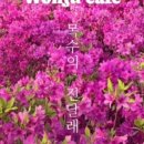 진달래까페