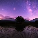 별 신동아