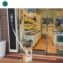 꼬망세과자점