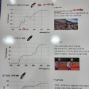 SJ서전안경 이미지