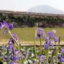 자계고택 이미지