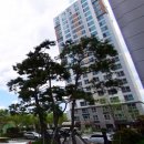 리틀카이스트 유치원 이미지