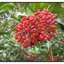 양도보건지소 이미지