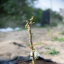 마땅농장 이미지