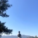 남일정육점 | 등린이의 [불암산] 등산후기 (난이도,등산코스,최단코스)