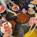 돌고래 | 괌 돌고래투어 후기(파란크루즈)