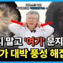 탈모, 치매 안 온다는 마사지 이미지