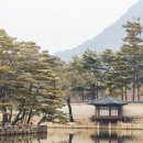 해비치농원