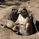 큰개마을 이미지