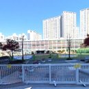 삼호초등학교 병설유치원 이미지