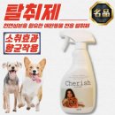 체리쉬 - 시흥시 매화마을1길 7 | 체리쉬