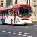 신일여객 네이버블로그