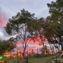 댕댕이블루스 이미지