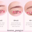 테오트리성남 이미지