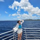 리얼소통발전소 | 괌 돌핀투어 추천 돌고래투어 코스와 스노쿨링 복장 팁!