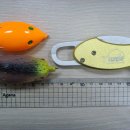 (주)덴토스 Daum카페