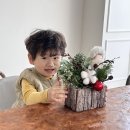 천안초등학교 이미지